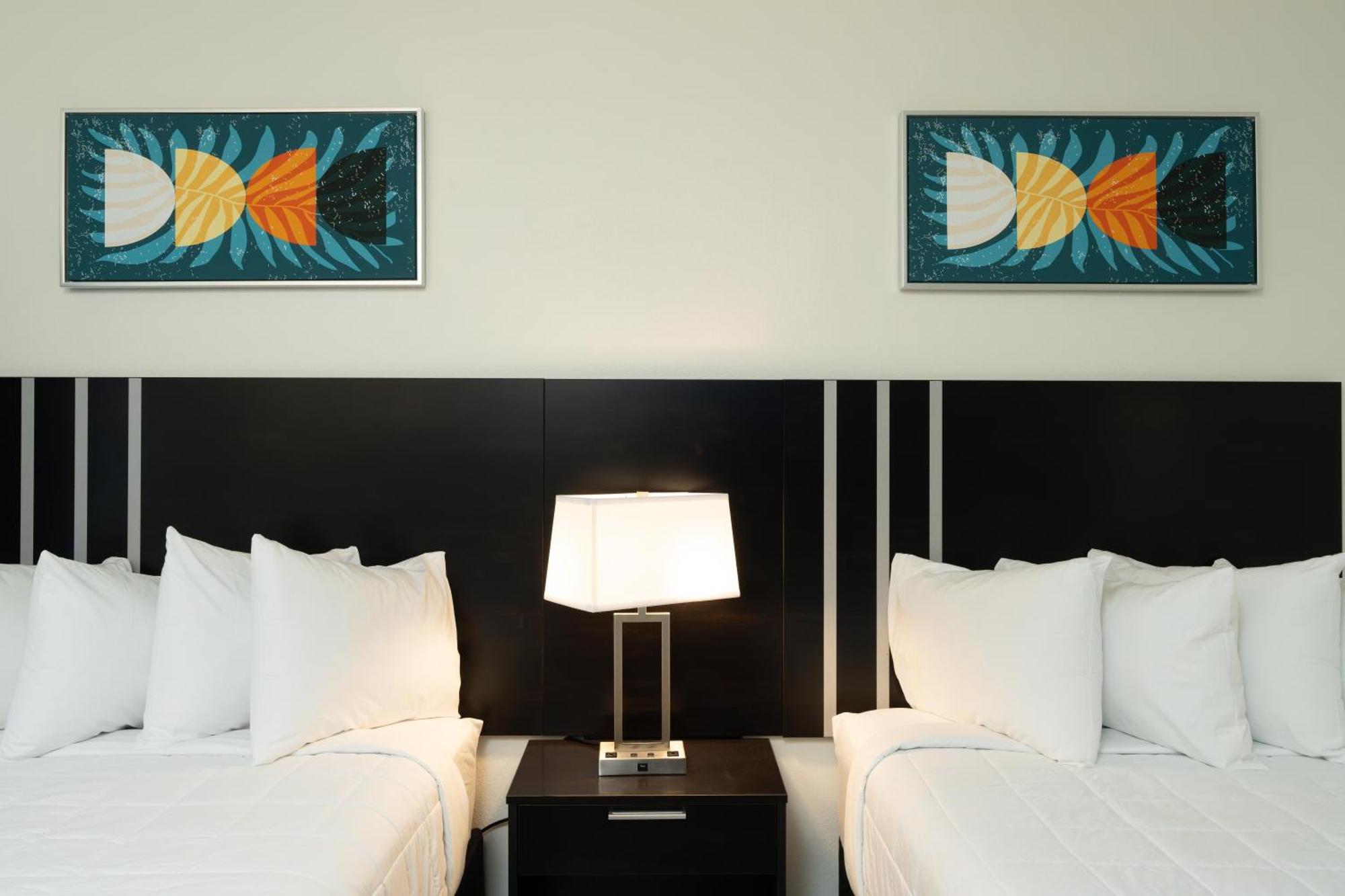 Oasis Bay Suites, Tampa, Busch Gardens, Usf Exteriér fotografie