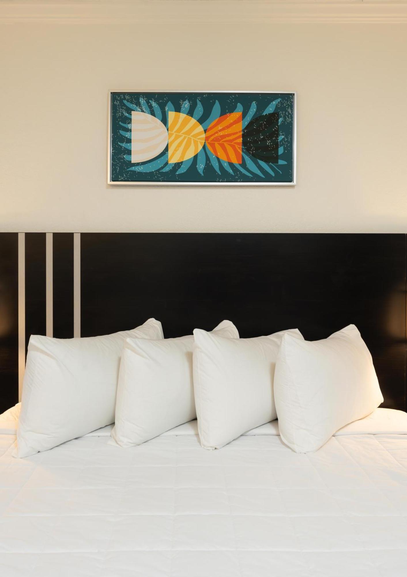Oasis Bay Suites, Tampa, Busch Gardens, Usf Exteriér fotografie