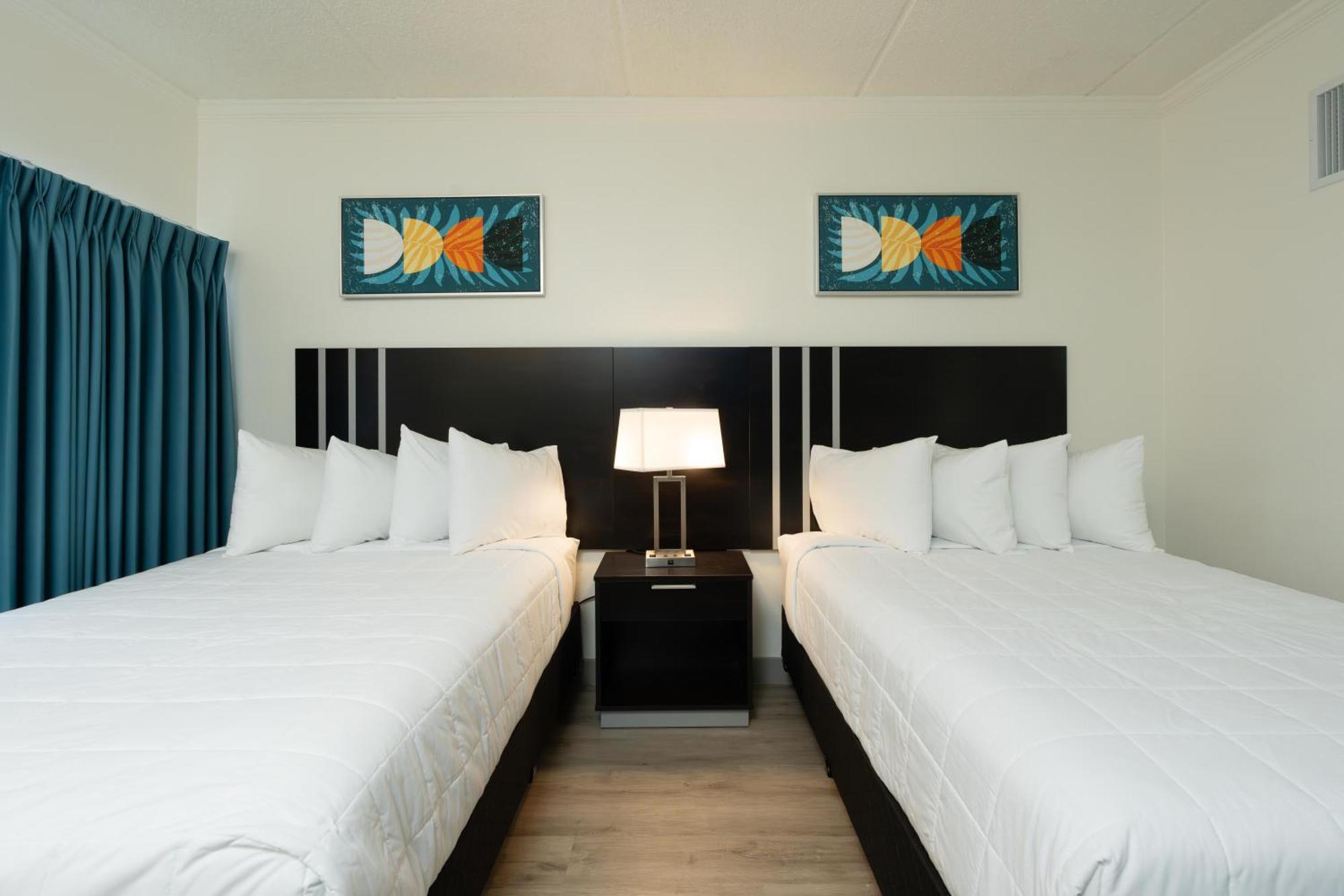 Oasis Bay Suites, Tampa, Busch Gardens, Usf Exteriér fotografie