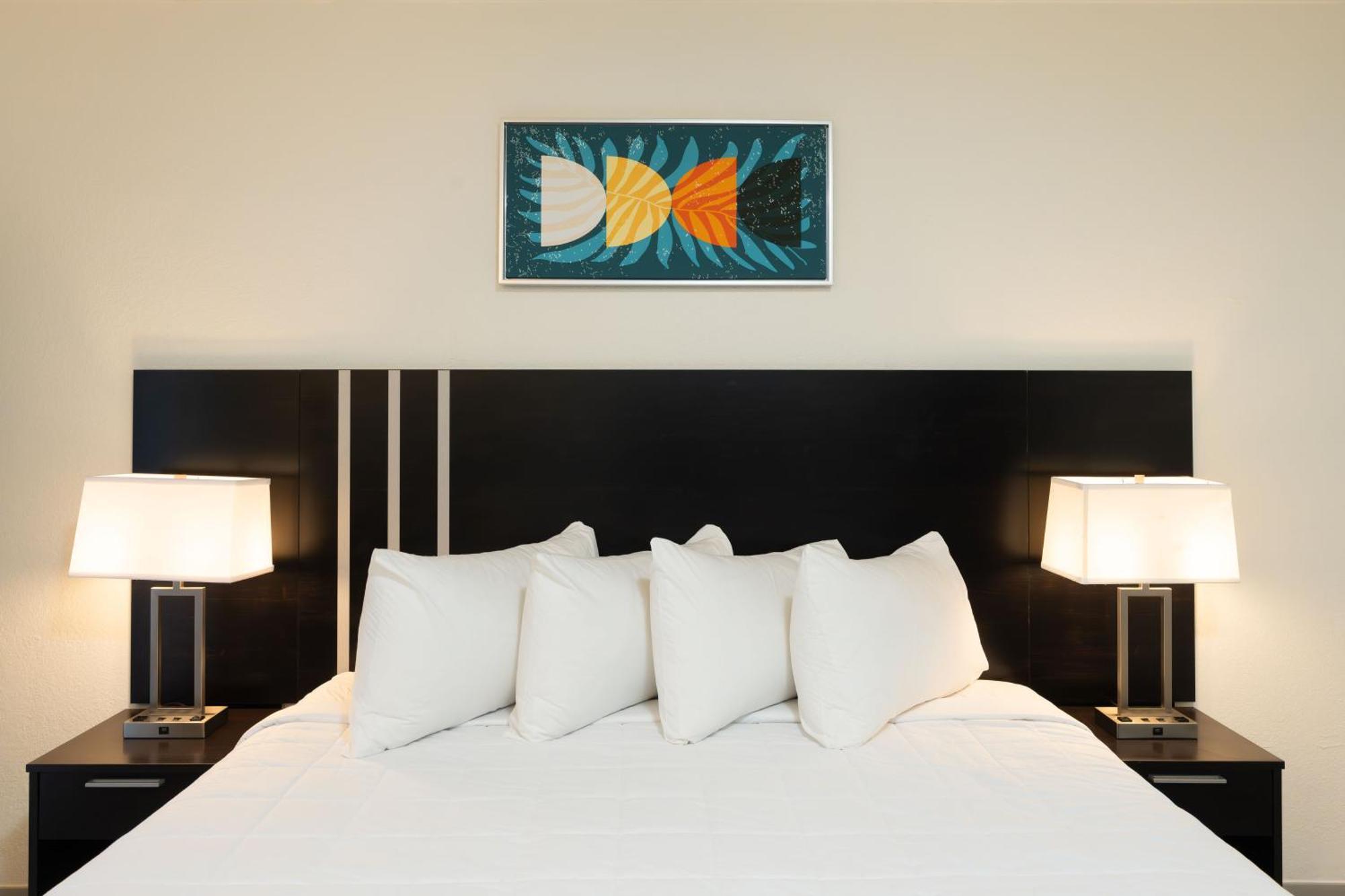 Oasis Bay Suites, Tampa, Busch Gardens, Usf Exteriér fotografie