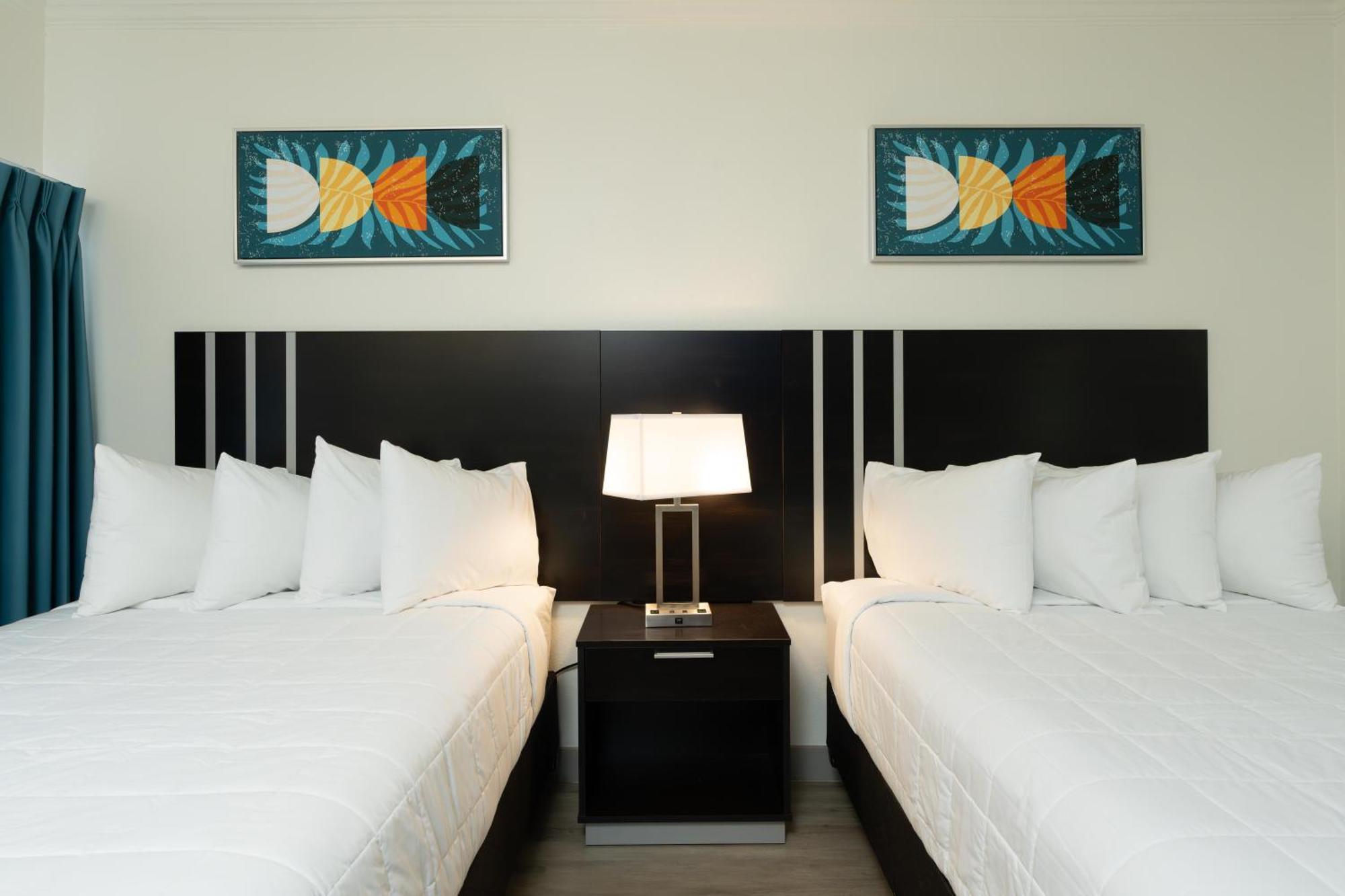Oasis Bay Suites, Tampa, Busch Gardens, Usf Exteriér fotografie