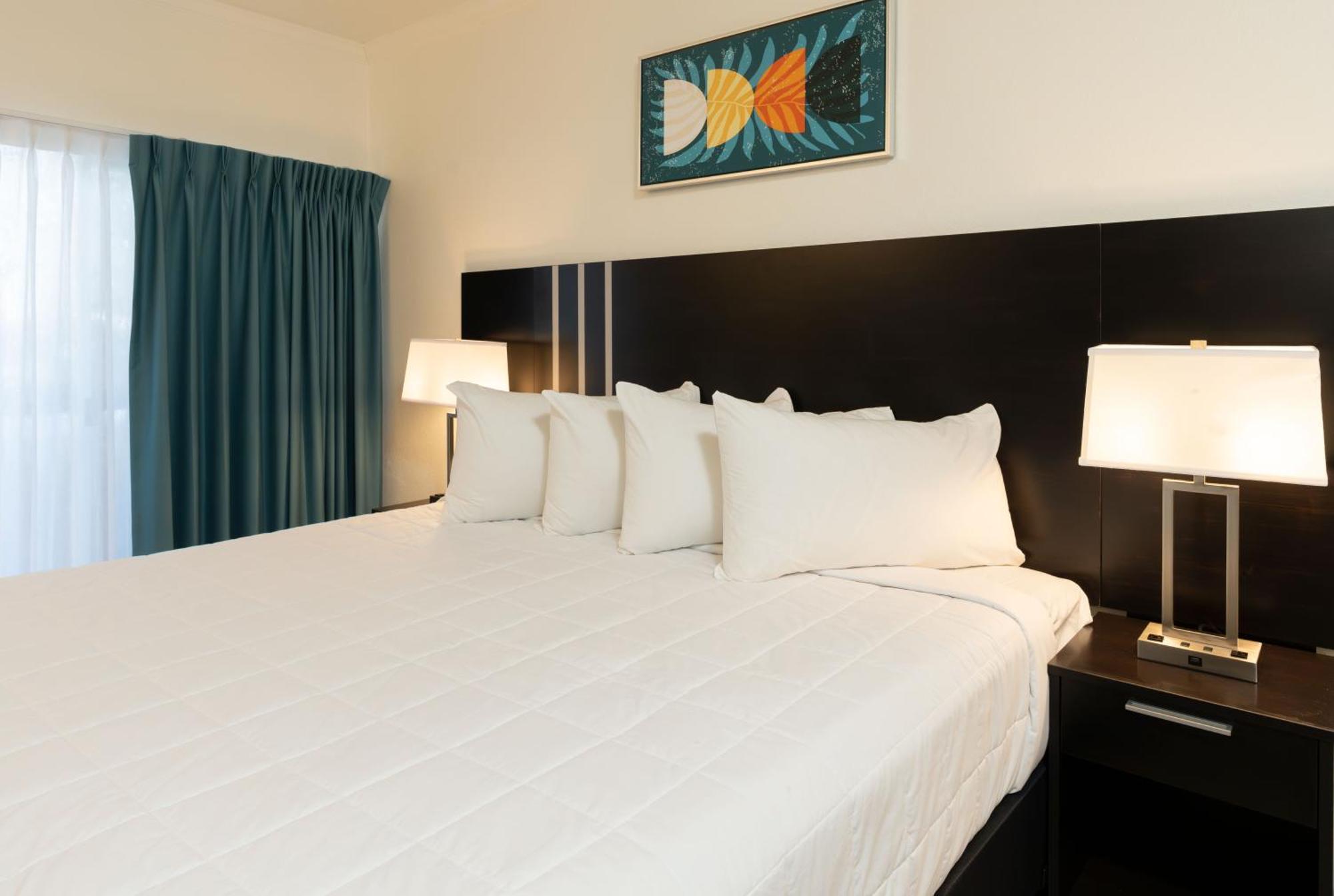 Oasis Bay Suites, Tampa, Busch Gardens, Usf Exteriér fotografie