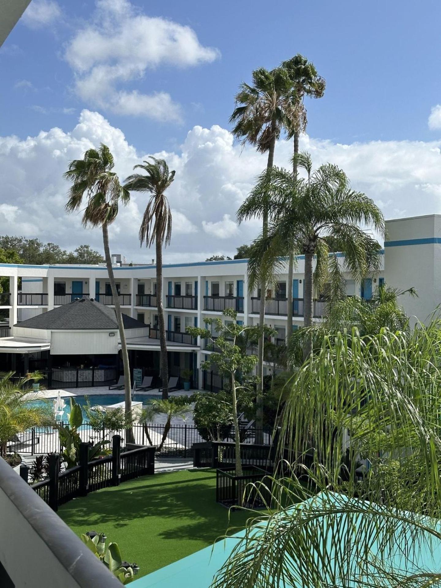 Oasis Bay Suites, Tampa, Busch Gardens, Usf Exteriér fotografie